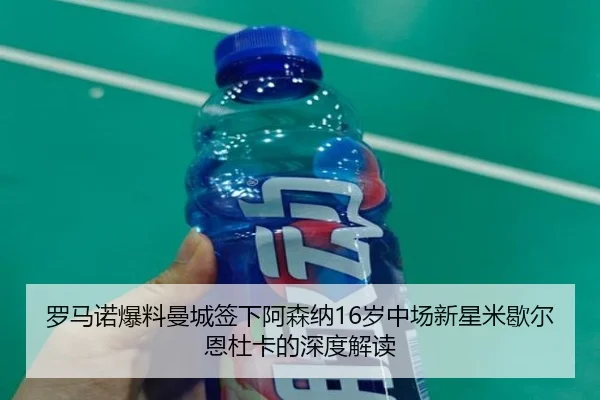 罗马诺爆料曼城签下阿森纳16岁中场新星米歇尔恩杜卡的深度解读（MILAN.COM）